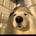 erwen的头像-湘安无事安全社区