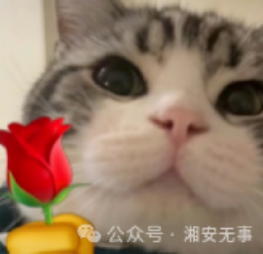 edu小灶案例之泄露上w敏感信息&有意思的证书站报告案例-湘安无事安全社区